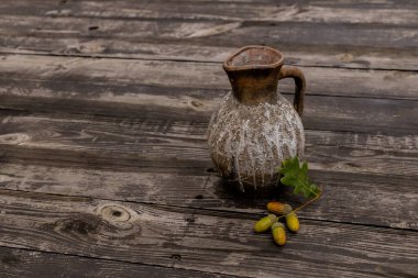 Bir meşe ağacının sürahi ve kuru yapraklarıyla dolu bir hayat. Meşeden meşe palamudu bileşimi