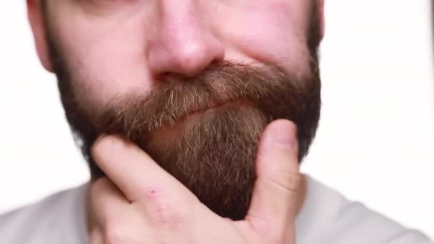 Retrato Perfil Masculino Muy Cercano Acariciando Barba Pantalla Blanca — Vídeos de Stock