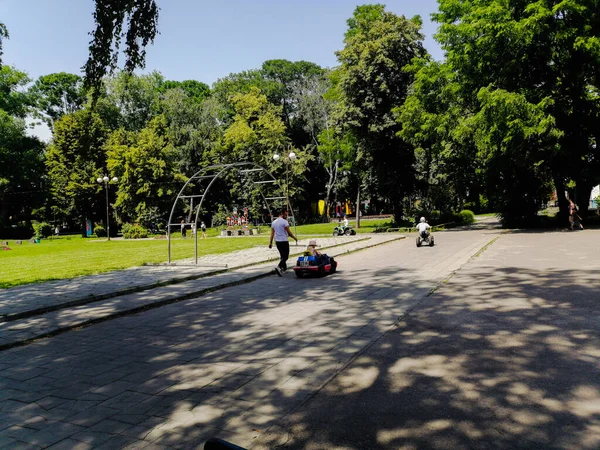 Caminhada Parque Verão Crianças — Fotografia de Stock