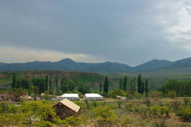 Dağdaki yeşil çayır. Doğanın bileşimi