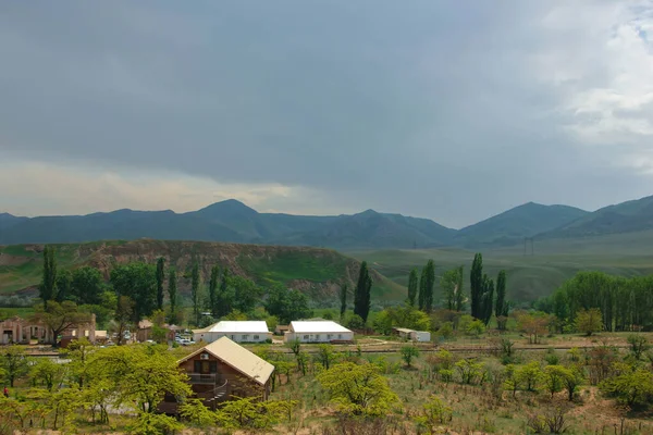 Dağdaki yeşil çayır. Doğanın bileşimi