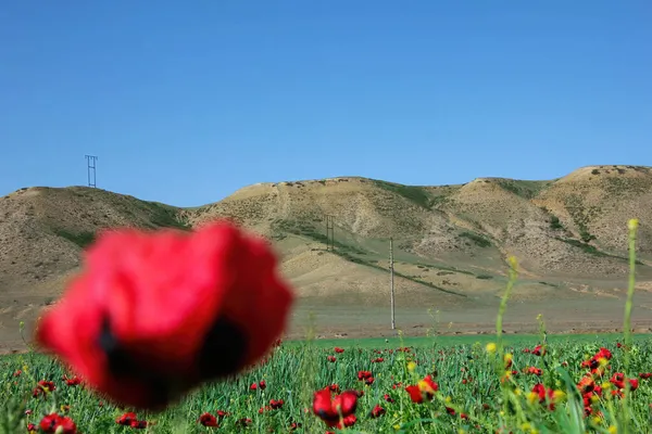 Hunzah. Tobot Şelalesi. Khunzakh Kanyonu. Rusya, Dağıstan.