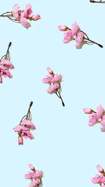 Ρομαντικό Floral Μοτίβο Άνοιξη Από Μικρά Ροζ Λουλούδια Μήλο Γαλάζιο — Φωτογραφία Αρχείου