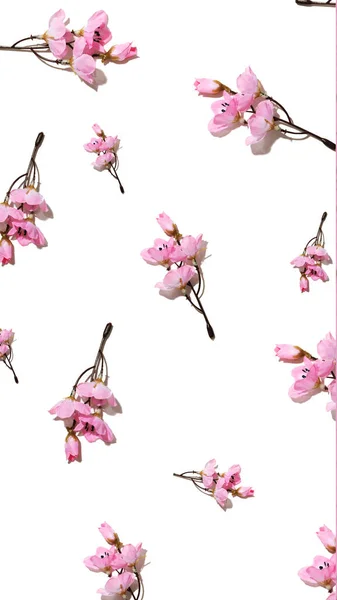Εσοδεία Άνοιξη Μοτίβο Των Μικρών Ροζ Κλαδιά Λουλούδι Μήλο Λευκό — Φωτογραφία Αρχείου