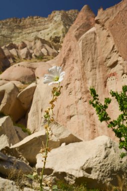 Kapadokya 'nın kalbinde yer alan tuhaf şekilli güzel dağlar.