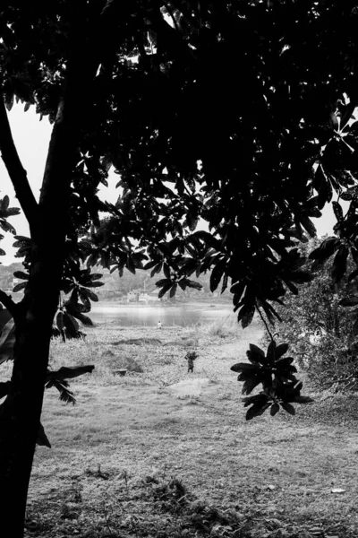 Pessoas Que Trabalham Sozinhas Campo Agrícola Capturei Esta Imagem Janeiro — Fotografia de Stock