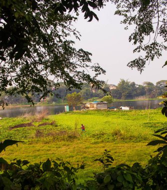 Tarım alanında yalnız çalışan insanlar. Bu görüntü 31 Ocak 2022 'de Kolatea, Najir char, Bangladeş, Güney Asya' dan çekildi.