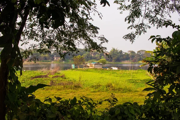 農業分野で一人で働く人々 この画像は2022年1月31日に南アジアバングラデシュのナジール チャール州コラタから撮影されたものです — ストック写真