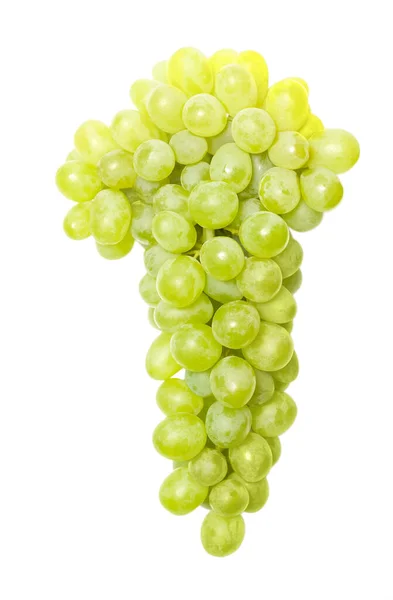 White Grapes Bunch Green Fresh Harvest Isolated White Background — Foto de Stock