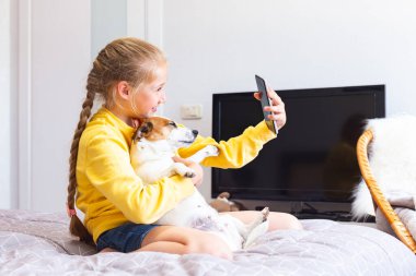 Telefonu olan genç bir kız evcil hayvanlarla ilgili blog yazıyor, kollarında bir köpekle oturuyor..