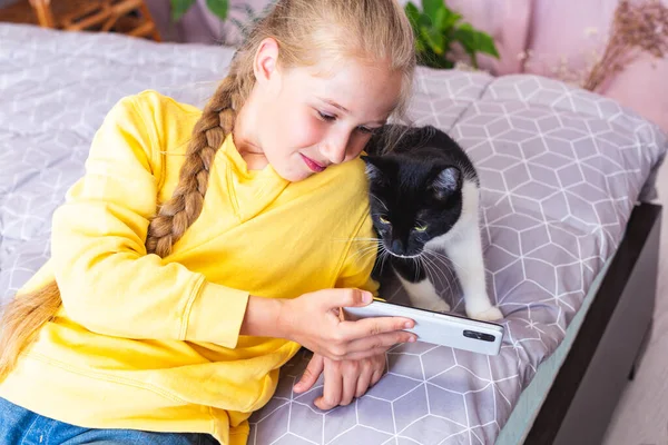 Kucing hitam dan putih masuk dan seorang gadis remaja melihat layar smartphone bersama-sama Stok Gambar Bebas Royalti