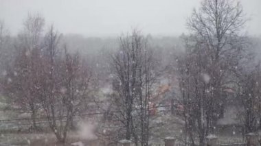 Çıplak ağaçların arka planında düşen kar taneleri, pencere manzarası. Yavaş çekim.