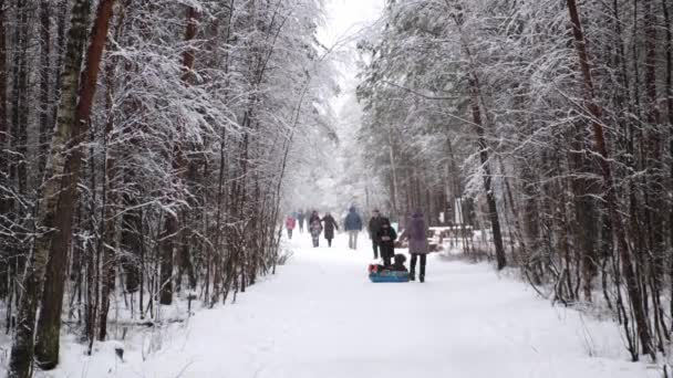 Un grupo de personas caminando en el parque en invierno, está nevando. — Vídeos de Stock