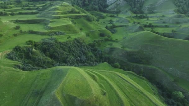 Fondo verde universal que muestra majestuosidad y belleza de la naturaleza, planeta Tierra — Vídeo de stock