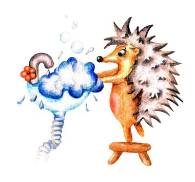 Kirpi ellerini lavaboda yıkar. Suluboya çizimi