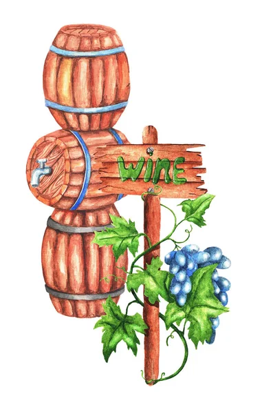 Wijnvaten Een Tros Druiven Een Witte Achtergrond Aquarelillustratie — Stockfoto