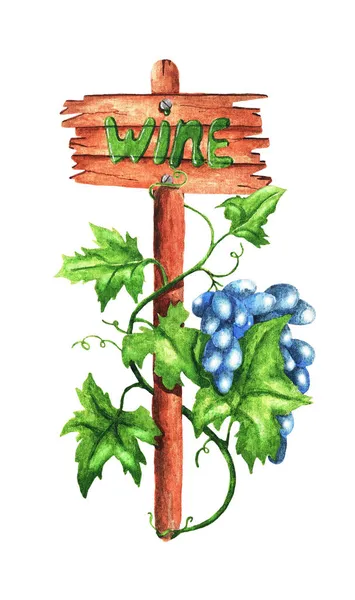 Juicy Bunch Grapes Wooden Support Title Watercolor Illustration — Stock Photo, Image