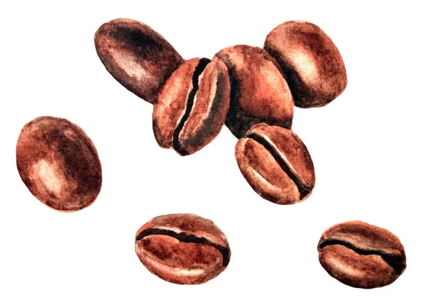 Flera Kaffebönor Vit Bakgrund Akvarell Illustration — Stockfoto