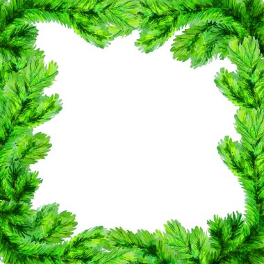 Beyaz arkaplanda köknar dallarından yapılmış kare çerçeve. Suluboya çizimi