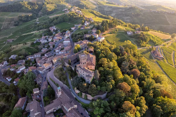 Aerial View Cigognola Castle Vineyards Countryside Background Oltrepo Pavese Pavia — Stock Photo, Image