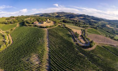 Vineyard plantations, panoramic aerial view north of Italy. Blue sky, clouds, countryside hills in Summer