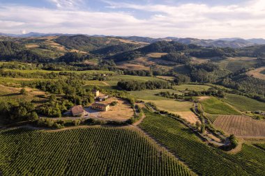 Vineyard plantations, panoramic aerial view north of Italy. Blue sky, clouds, countryside hills in Summer