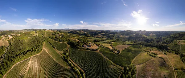 Vineyard Plantations Panoramic Aerial View North Italy Blue Sky Clouds — Stockfoto