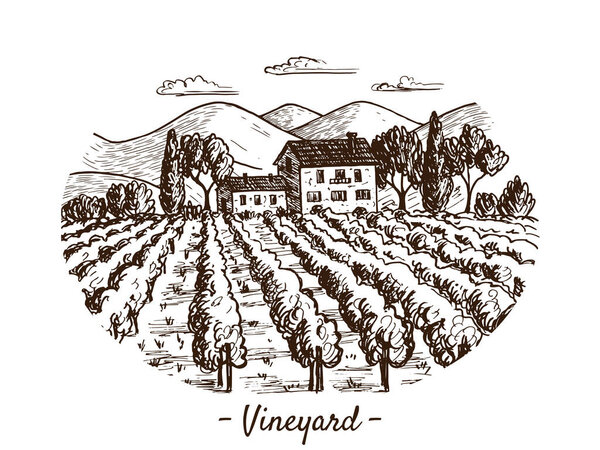 A sketch of a vineyard landscape. Handmade illustration. There are beautiful views of mountains, trees, houses, clouds and plantations. Suitable for decorating wine and natural products.