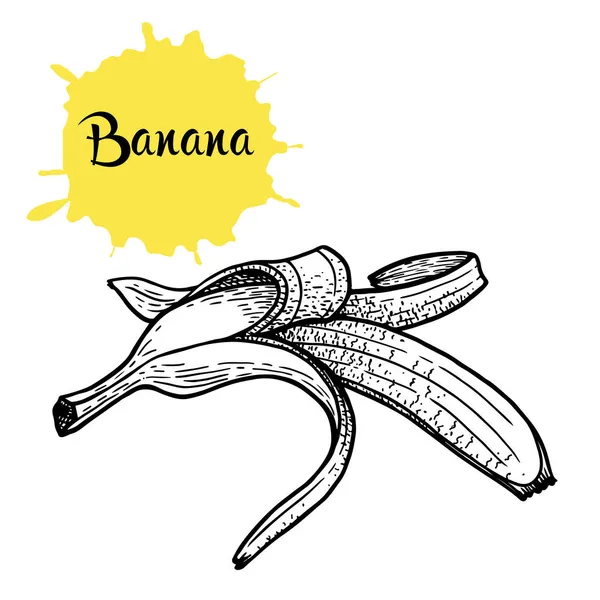 손으로 흑백의 바나나 그림은 노란색 물보라와 분리되어 음식에 — 스톡 벡터