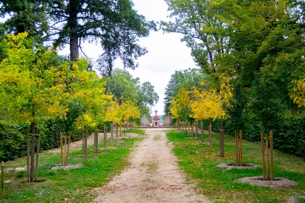 在西班牙塞哥维亚的圣伊尔德丰索格兰贾花园 沿路秋天的风景 地面上有黄褐色的叶子 树枝上也有一些叶子 横向摄影 — 图库照片