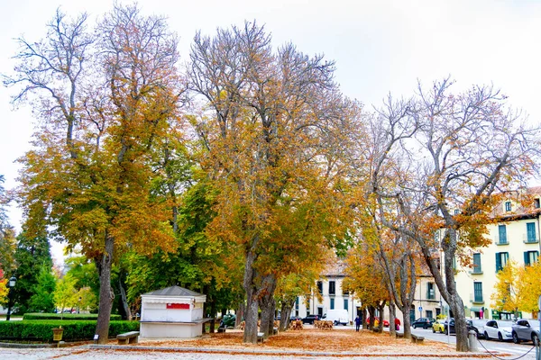 Paysage Automnal Long Route Avec Des Feuilles Jaunes Brunes Sur — Photo