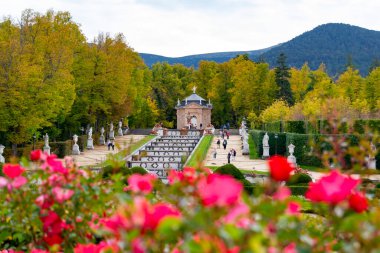 Segovia, İspanya - 19 Ekim, 2021. La Granja de San Ildefonso Kraliyet Sarayı, Segovia 'da, sonbaharda, çiçeklerle ve renkli yapraklarla dolu kaplama boyunca bahçelerin ve çeşmelerin yanında..