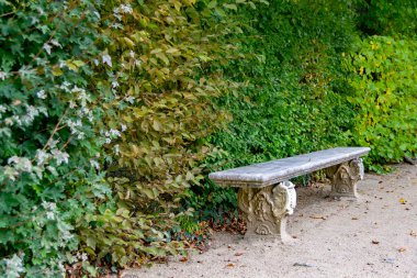 İspanya 'da, Segovia' da bir parkta ve bahçedeki bir çalılıktan yeşil yapraklar içeren taş ve mermer bir bank. Avrupa. Yatay fotoğrafçılık