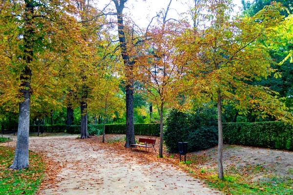 在西班牙马德里的退休公园 秋天的风景 树枝上有橙色 褐色和黄色的颜色 小径上长满了树叶 横向摄影 — 图库照片