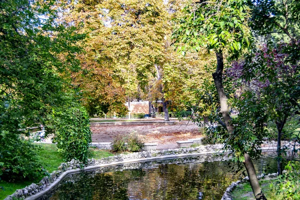 Ağaçların Dallarında Turuncu Kahverengi Sarı Renkli Sonbahar Manzarası Madrid Madrid — Stok fotoğraf