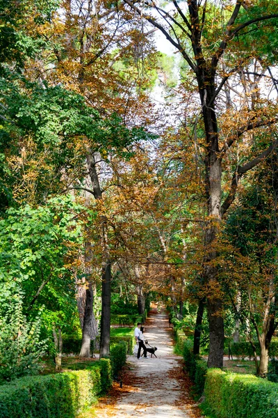 Madri Span Eki 2021 Spanya Nın Madrid Kentindeki Retiro Park — Stok fotoğraf