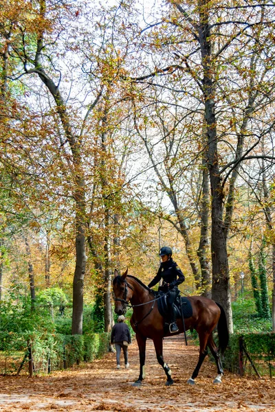 Politieagent Gemonteerd Een Paard Door Een Weg Vol Met Droge — Stockfoto