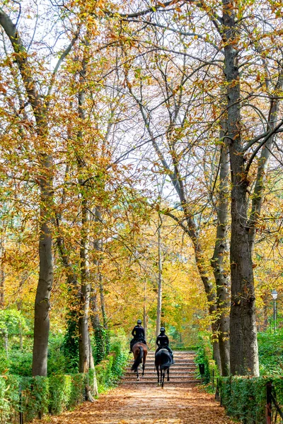 Spanya Nın Madrid Kentindeki Retiro Park Inda Sonbahara Bağlı Olarak — Stok fotoğraf