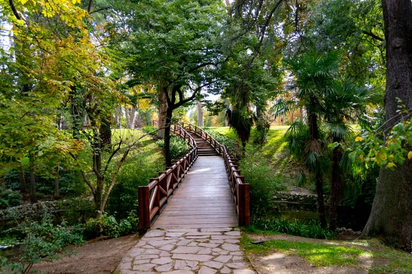 西班牙马德里退休公园的桥和木制人行道被绿色植被环绕着 横向摄影 — 图库照片
