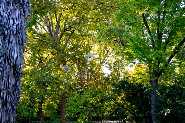 Vit Manet Hänger Träden Den Kungliga Botaniska Trädgården Madrid Som — Stockfoto