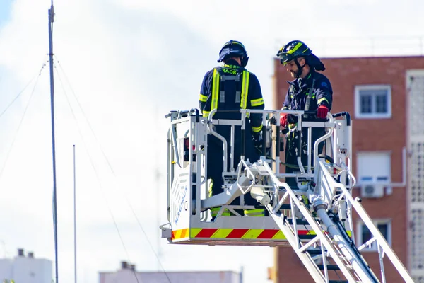 Los Bomberos Suben Una Escala Camión Uno Los Entrenamientos Estación — Foto de Stock