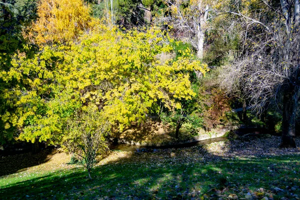 Řeka Protékající Parque Del Oeste Madridském Parku Několika Podzimními Barvami — Stock fotografie