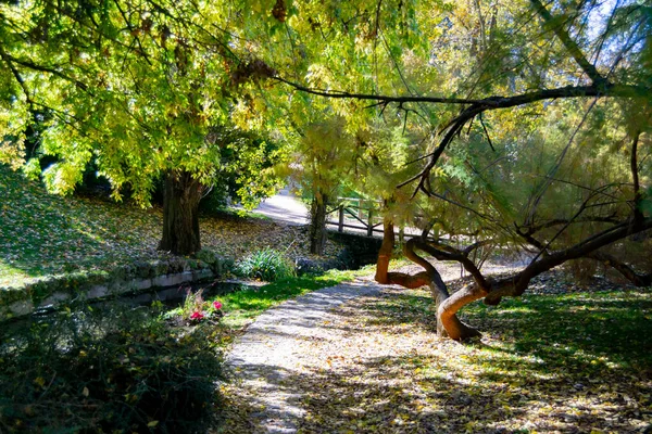 Flod Ström Passerar Genom Parque Del Oeste Madrid Park Med — Stockfoto