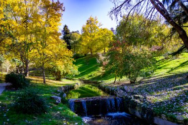 Madrid, Madrid 'de açık bir günde Madrid Parkı' ndan sonbahar renkleriyle geçen nehir akıntısı. Avrupa. Fotoğraf..