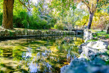 Madrid, Madrid 'de açık bir günde Madrid Parkı' ndan sonbahar renkleriyle geçen nehir akıntısı. Avrupa. Fotoğraf..