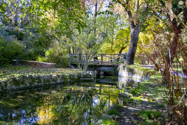 Fiume Che Attraversa Parque Del Oeste Parco Madrid Con Alcuni — Foto Stock