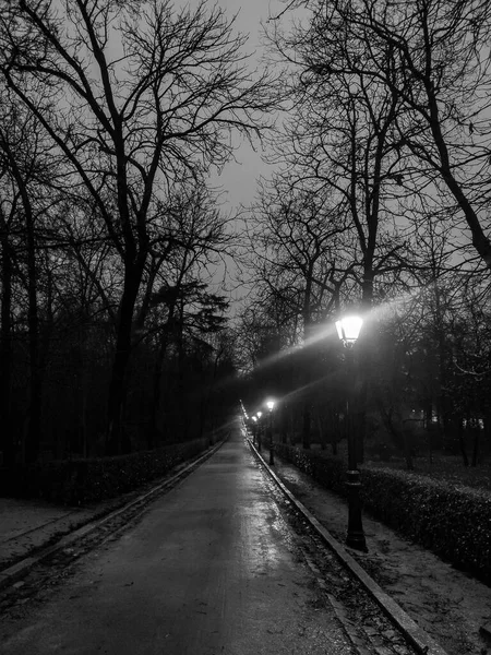 Samotna Ścieżka Szare Deszczowe Dni Świetle Latarni Parku Madrycie Obok — Zdjęcie stockowe