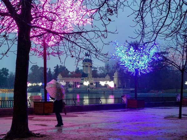 İspanya 'da gri ve yağmurlu bir günde Madrid' deki Retiro Parkı 'nı gölün yanında süsleyen Noel ışıkları. Avrupa. Fotoğraf:.