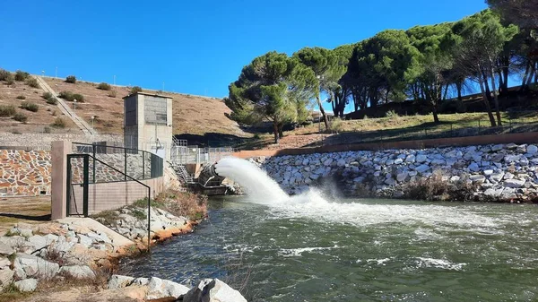 马德里社区的El Pardo水库将水排入Manzanares河 背景是松树 在西班牙 横向摄影 — 图库照片
