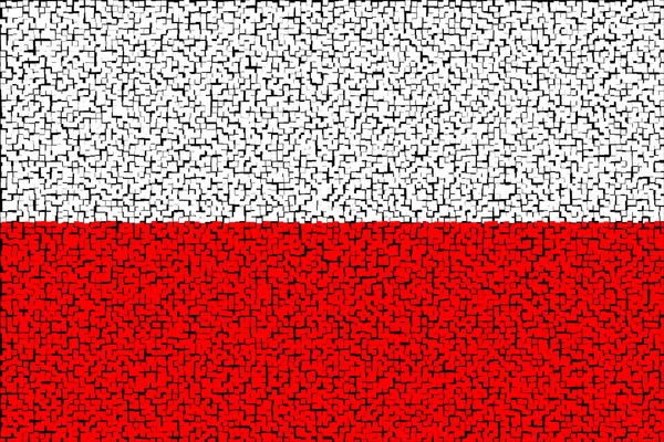 波兰国旗 横向设计 升起波兰的国旗 横向设计 摘要设计 — 图库照片